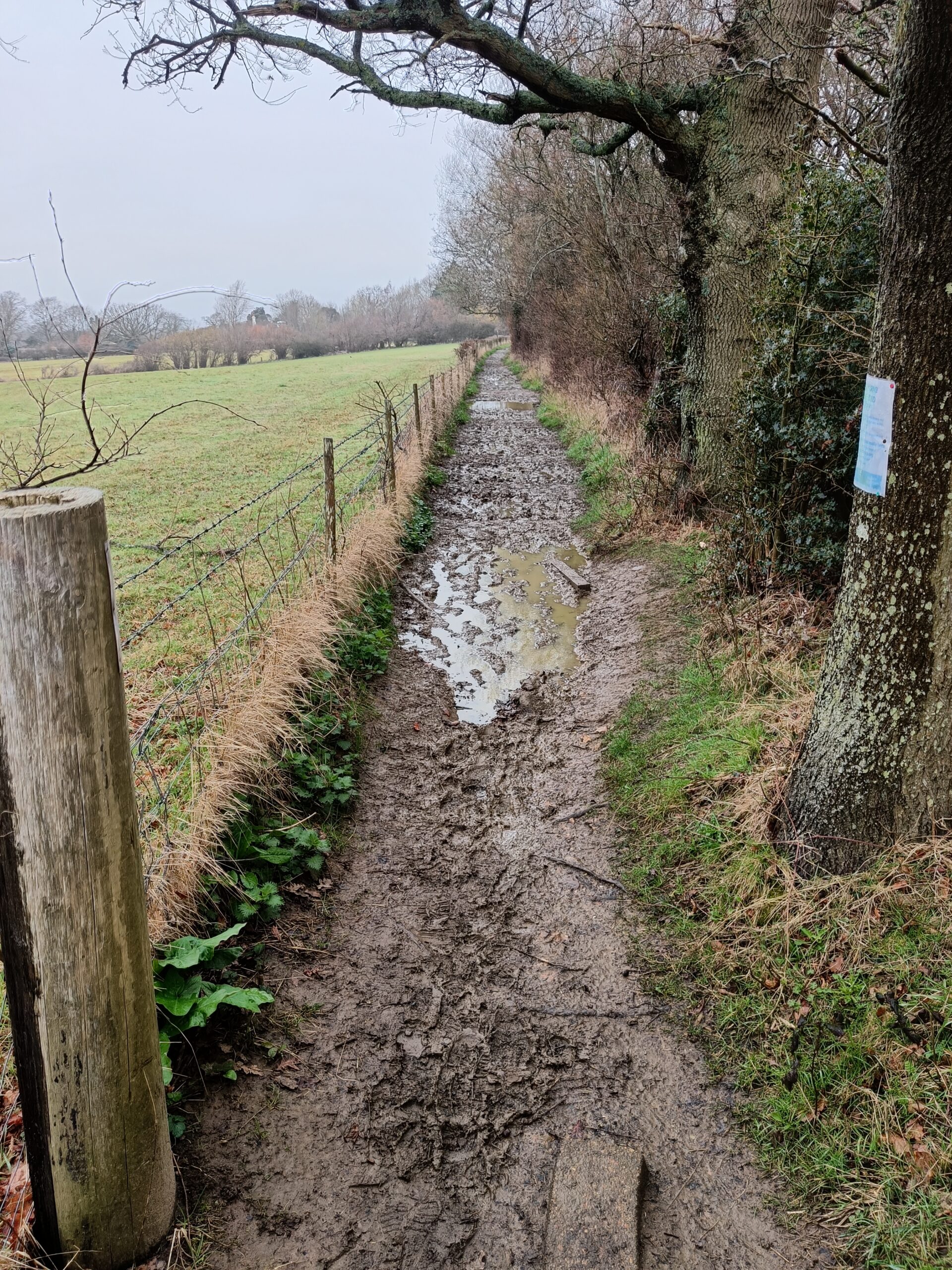 Pathfields Mudge Way Lodge Hill Path Boardwalk extended – The Monday Group